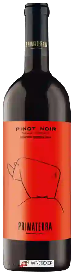 Winery Primaterra - Pinot Noir