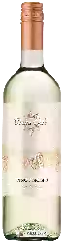Winery Primi Soli - Pinot Grigio