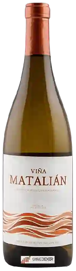 Winery Primitivo Collantes - Viña Matalián Blanco Semidulce
