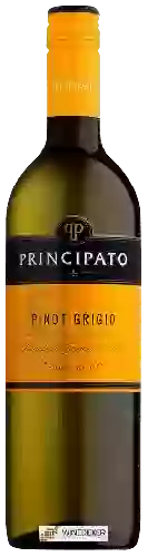 Winery Principato - Pinot Grigio