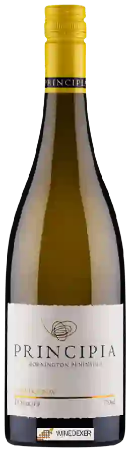 Winery Principia - Chardonnay