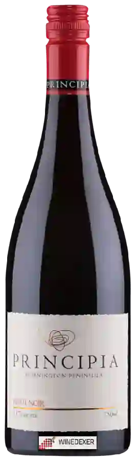 Winery Principia - Pinot Noir