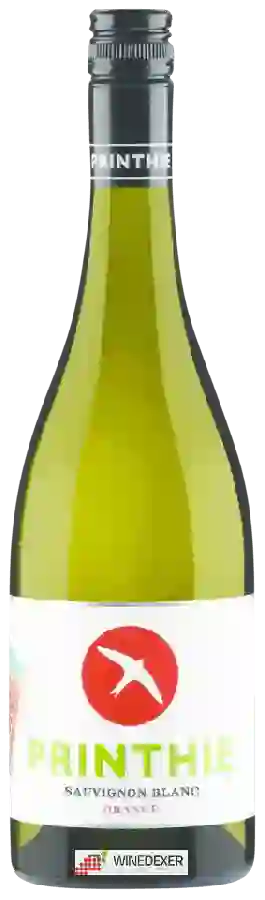 Winery Printhie - Sauvignon Blanc Winery Printhie - Sauvignon Blanc