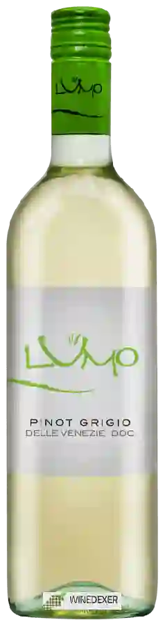 Winery Colterenzio (Schreckbichl) - Lumo Pinot Grigio Winery Colterenzio (Schreckbichl) - Lumo Pinot Grigio