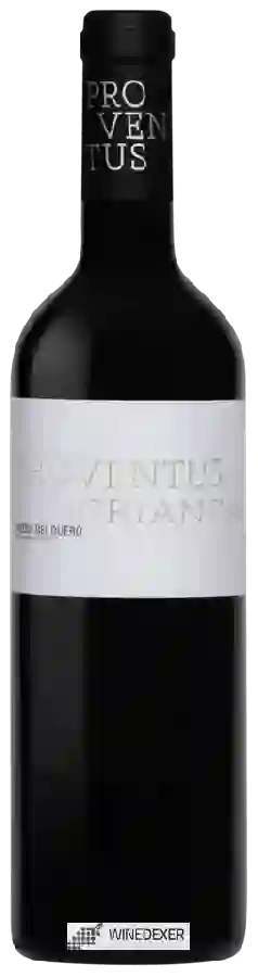 Winery Proventus - Crianza