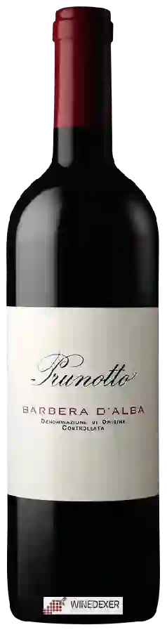 Winery Prunotto - Barbera d'Alba