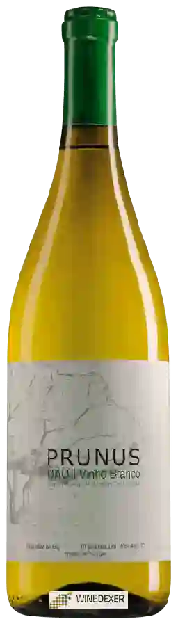 Winery Prunus - Branco Winery Prunus - Branco