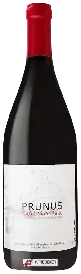 Winery Prunus - Tinto Winery Prunus - Tinto
