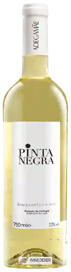Winery AdegaMãe - Pinta Negra Branco