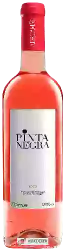 Winery AdegaMãe - Pinta Negra Rosé