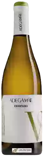 Winery AdegaMãe - Viosinho