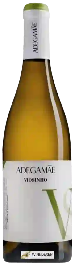 Winery AdegaMãe - Viosinho Winery AdegaMãe - Viosinho
