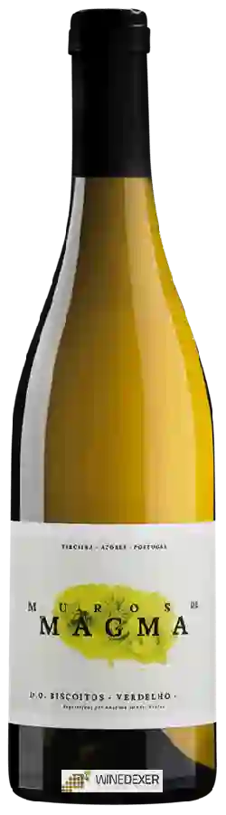 Winery Anselmo Mendes - Muros de Magma Verdelho