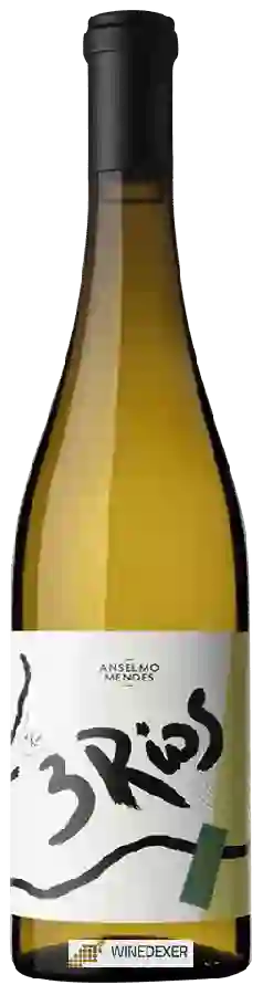 Winery Anselmo Mendes - 3 Rios Vinho Verde