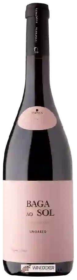 Winery Fitapreta - Baga ao Sol Unoaked