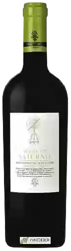 Winery Monte Da Cal - Vinha de Saturno Branco