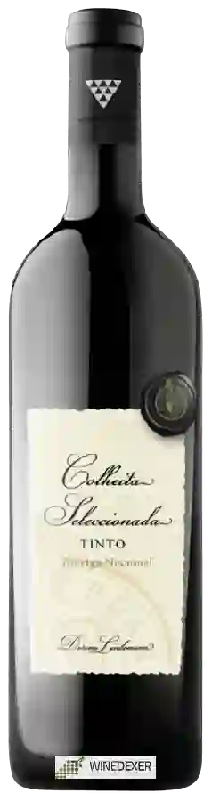 Winery Quinta da Plansel - Dorina Lindemann Colheita Seleccionada Touriga Nacional