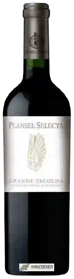 Winery Quinta da Plansel - Plansel Selecta Grande Escolha