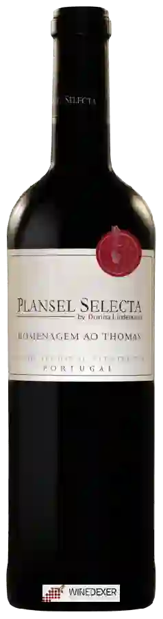 Winery Quinta da Plansel - Plansel Selecta Homenagem Ao Thomas Winery Quinta da Plansel - Plansel Selecta Homenagem Ao Thomas