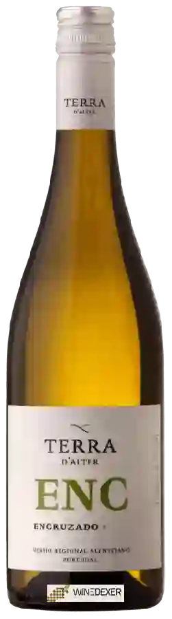 Winery Terra d'Alter - Encruzado