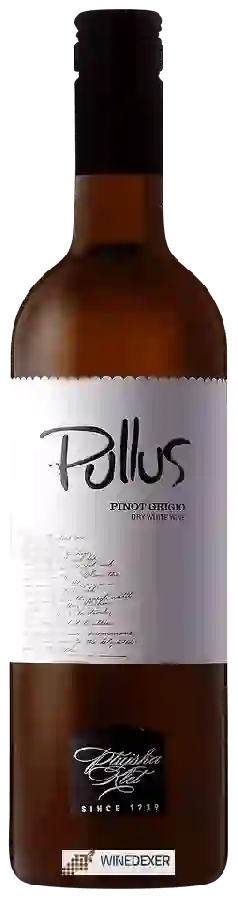 Winery Pullus - Pinot Grigio Suho