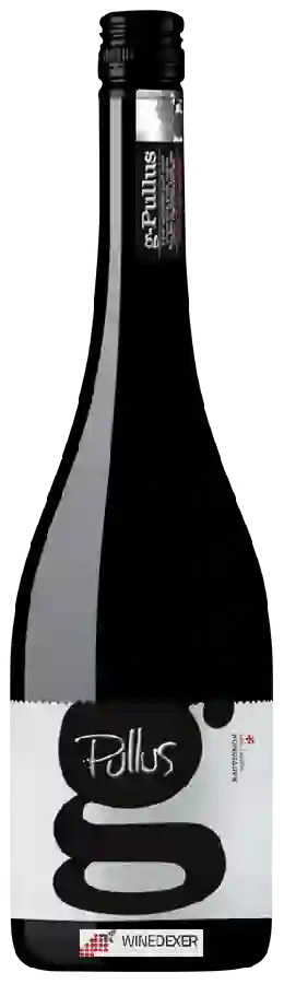 Winery Pullus - G Sauvignon Suho