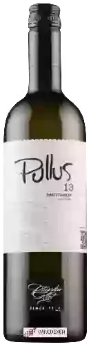 Winery Pullus - Sauvignon Suho