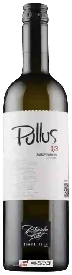 Winery Pullus - Sauvignon Suho