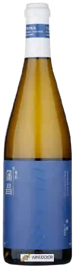 Winery Puchang - Rkatsiteli