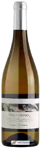 Winery Vila Voltaire - Puech Auriol Blanc