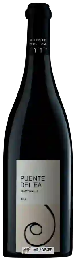 Winery Puente del Ea - Vino de Autor Tempranillo