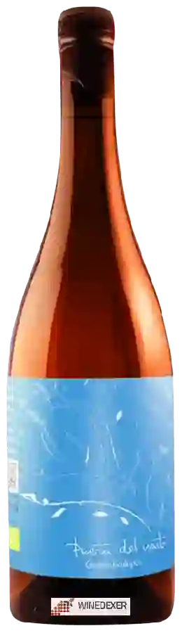 Winery Puerta del Viento - Godello Winery Puerta del Viento - Godello