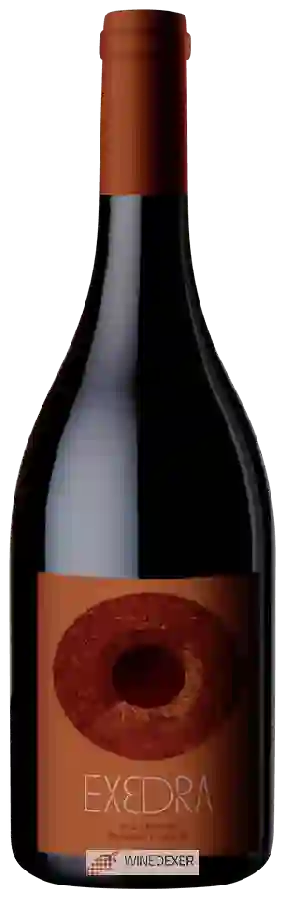 Winery Puiggros - Exedra Negre Winery Puiggros - Exedra Negre
