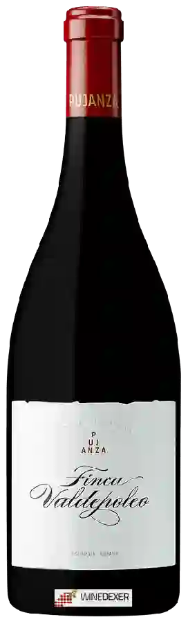 Winery Pujanza - Finca Valdepoleo