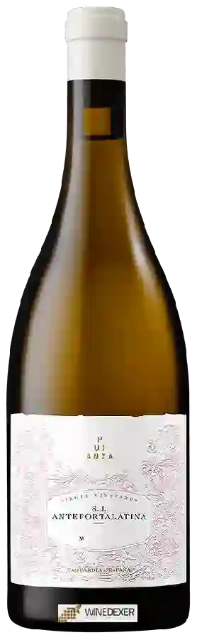 Winery Pujanza - S.J. Anteportalatina