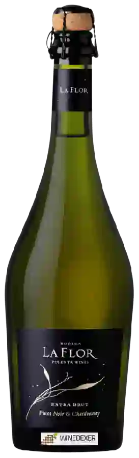 Winery Pulenta Estate - Bodega La Flor Pinot Noir - Chardonnay Extra Brut Winery Pulenta Estate - Bodega La Flor Pinot Noir - Chardonnay Extra Brut