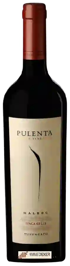 Winery Pulenta Estate - Finca Gtlly Malbec Winery Pulenta Estate - Finca Gtlly Malbec