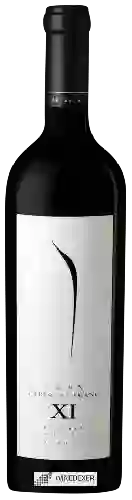Winery Pulenta Estate - Gran Cabernet Franc (XI)
