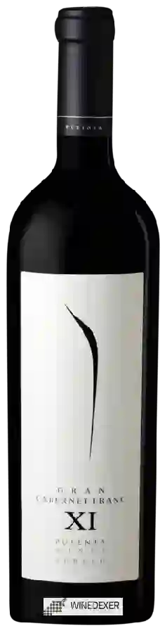 Winery Pulenta Estate - Gran Cabernet Franc (XI)