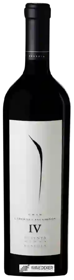 Winery Pulenta Estate - Gran Cabernet Sauvignon (IV) Winery Pulenta Estate - Gran Cabernet Sauvignon (IV)