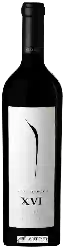 Winery Pulenta Estate - Gran Merlot (XVI)