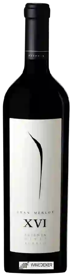 Winery Pulenta Estate - Gran Merlot (XVI) Winery Pulenta Estate - Gran Merlot (XVI)