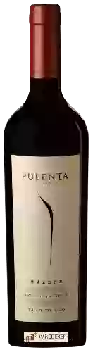 Winery Pulenta Estate - Finca Don Antonio Malbec