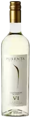Winery Pulenta Estate - Sauvignon Blanc (VI)