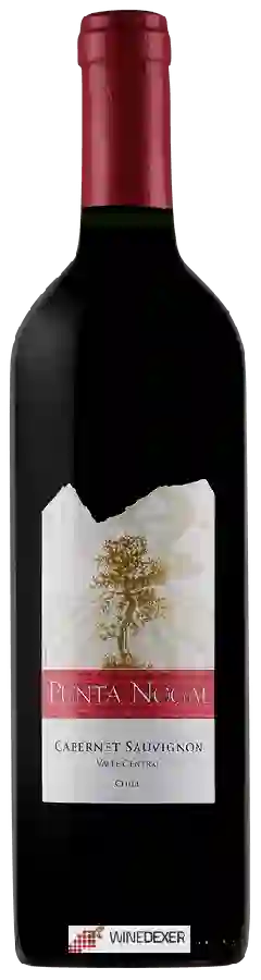 Winery Punta Nogal - Cabernet Sauvignon