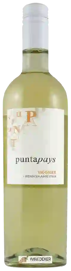 Winery Punta Pays - Viognier Winery Punta Pays - Viognier