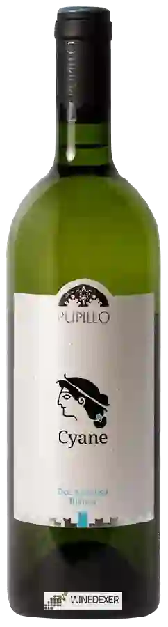 Winery Pupillo - Cyane Siracusa Bianco