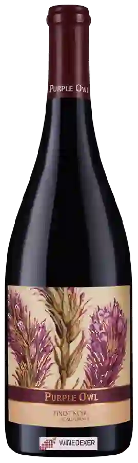 Winery Purple Owl - Pinot Noir Winery Purple Owl - Pinot Noir