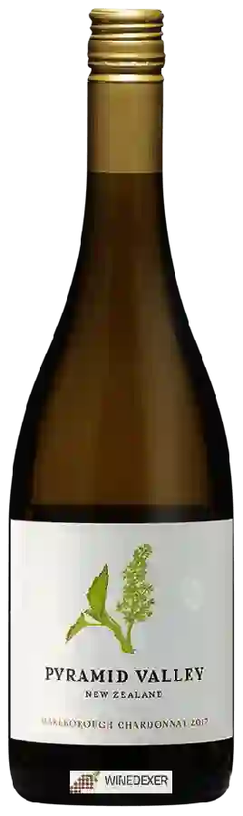 Winery Pyramid Valley Vineyards - Chardonnay