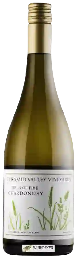 Winery Pyramid Valley Vineyards - Field of Fire Chardonnay